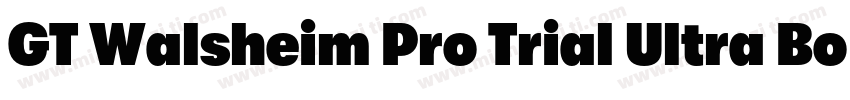 GT Walsheim Pro Trial Ultra Bold Re字体转换